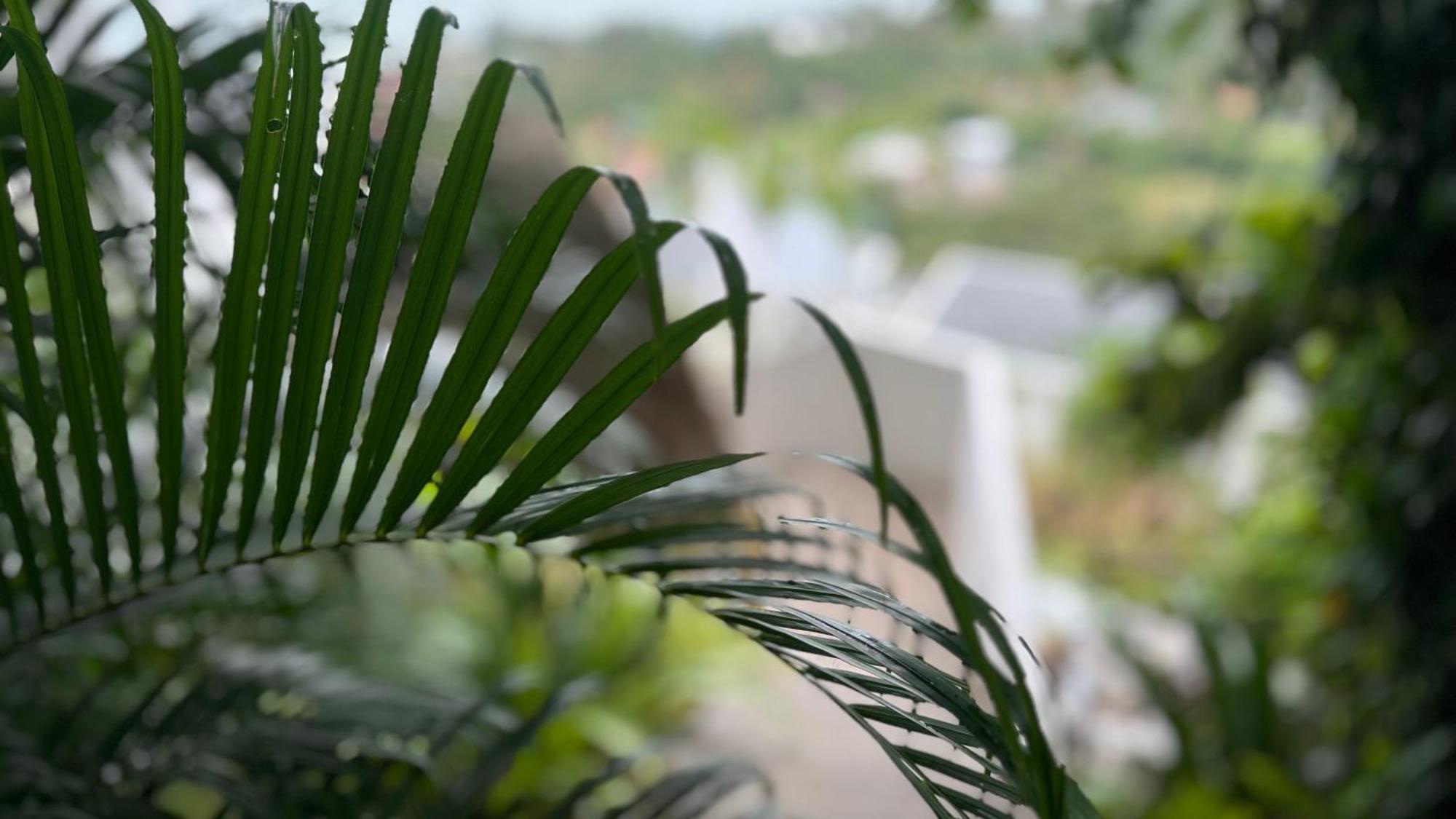 Anzhu Seamate Villa Samui Amphoe Koksamui Esterno foto